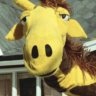 Raffe’n